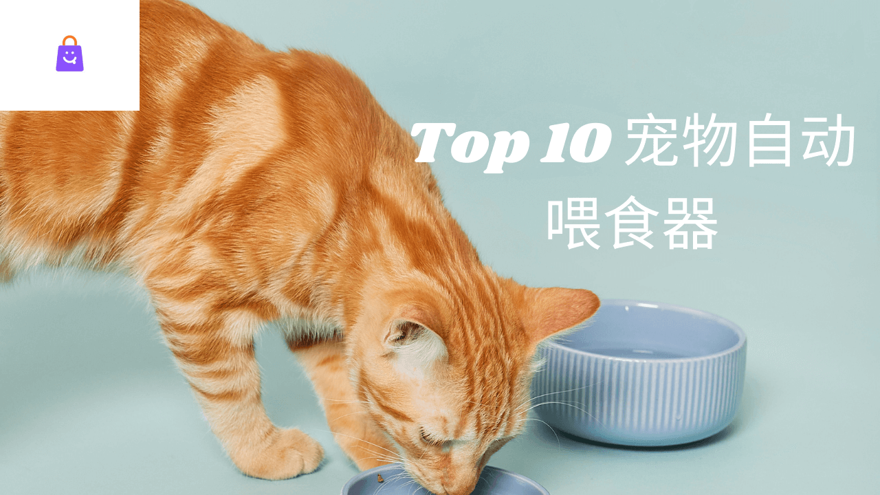 Top 10 宠物自动喂食器出远门也不必担心宠物饿肚子